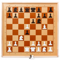 Настольная игра шахматы демонстрационные магнитные арт.01756