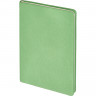 Ежедневник недатированный 140х200 мм, 192 с. Turtle I1202/green