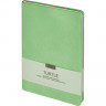 Ежедневник недатированный 140х200 мм, 192 с. Turtle I1202/green