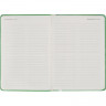 Ежедневник недатированный 140х200 мм, 192 с. Turtle I1202/green