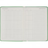 Ежедневник недатированный 140х200 мм, 192 с. Turtle I1202/green