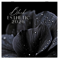 Календарь настенный перекидной 2026 г., BRAUBERG, 12 листов, 28,5х28,5 см, "Black esthetic", 116927 Календарь настенный перекидной 2026 г., BRAUBERG, 12 листов, 28,5х28,5 см, "Black esthetic", 116927