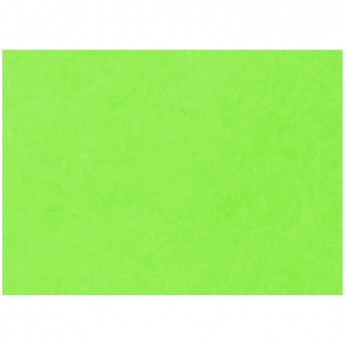 Картон цветной тонированный А4, Лилия Холдинг, 200г/м2, 50л., зелёный