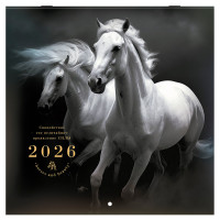 Календарь настенный перекидной 2026 г., BRAUBERG, 12 листов, 28,5х28,5 см, "Символ года", 116928 Календарь настенный перекидной 2026 г., BRAUBERG, 12 листов, 28,5х28,5 см, "Символ года", 116928