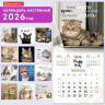Календарь настенный перекидной 2026 г., BRAUBERG, 12 листов, 28,5х28,5 см, "Милые котики", 116929 Календарь настенный перекидной 2026 г., BRAUBERG, 12 листов, 28,5х28,5 см, "Милые котики", 116929